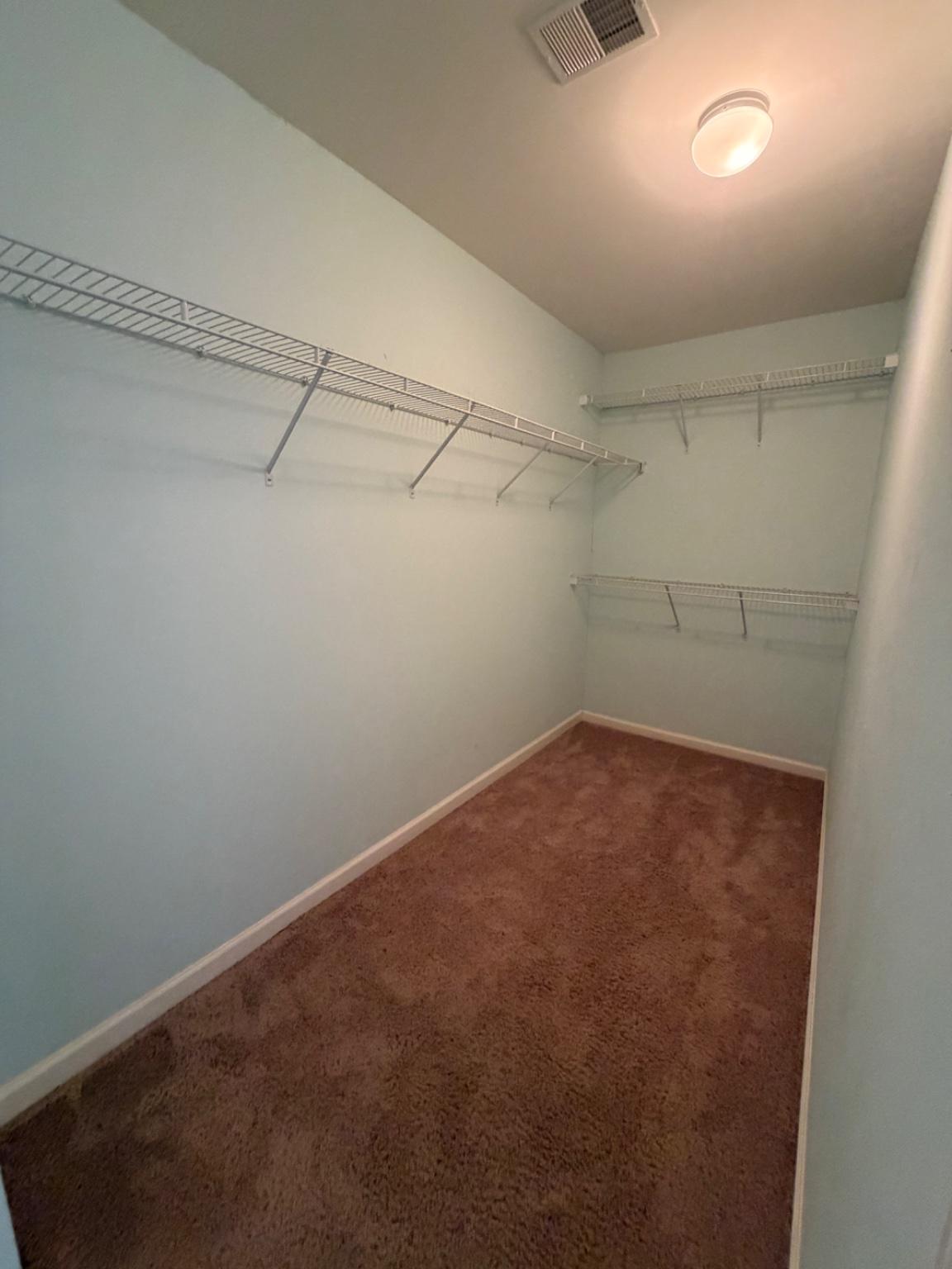 701 Monroe Point Dr Property Photo 23
