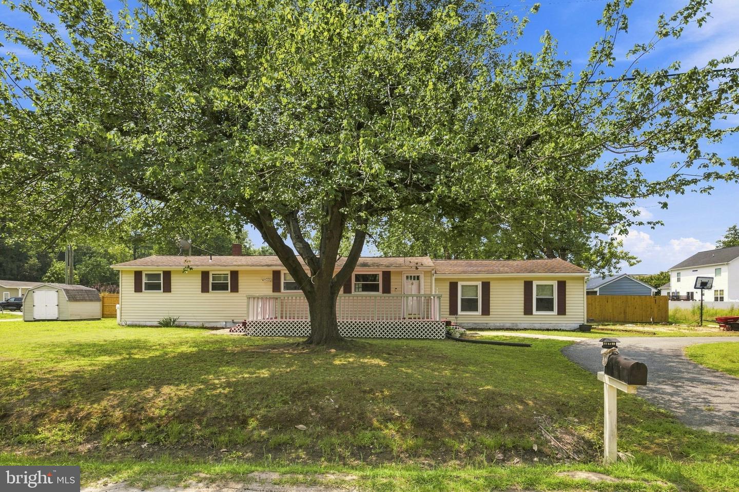 153 Richmond Rd Property Photo 4