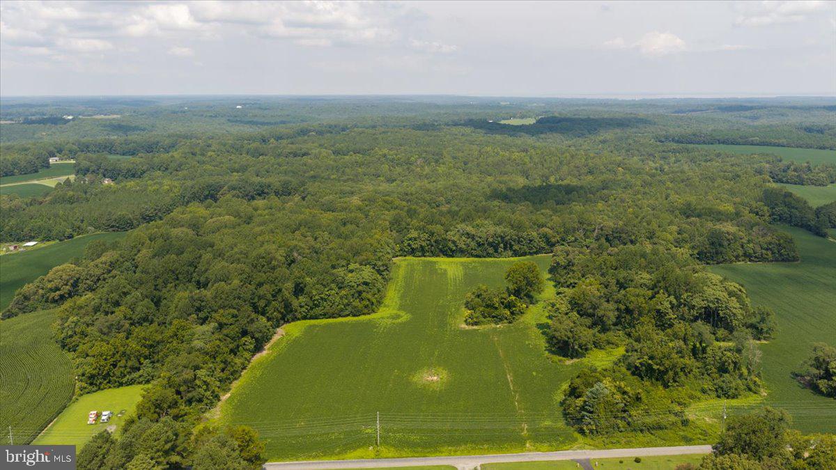 Lot 53-82 Jerusalem Church Rd Property Photo 2