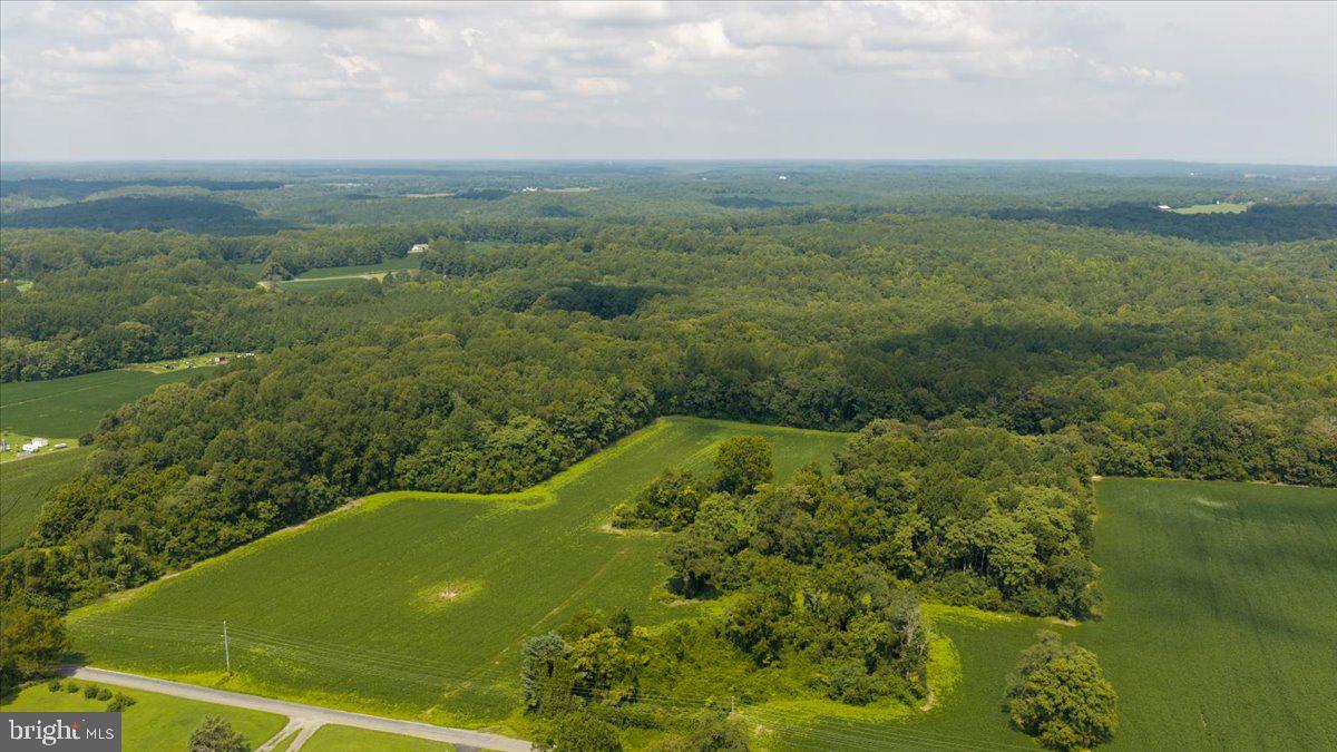 Lot 53-82 Jerusalem Church Rd Property Photo 3