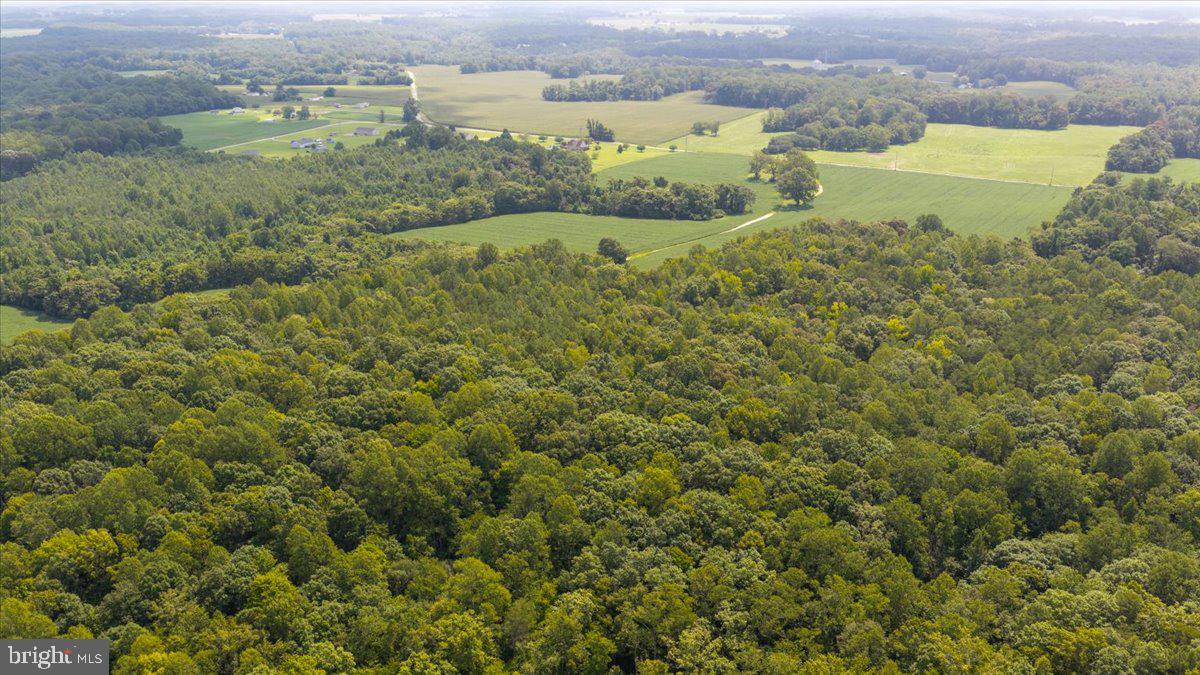 Lot 53-82 Jerusalem Church Rd Property Photo 22