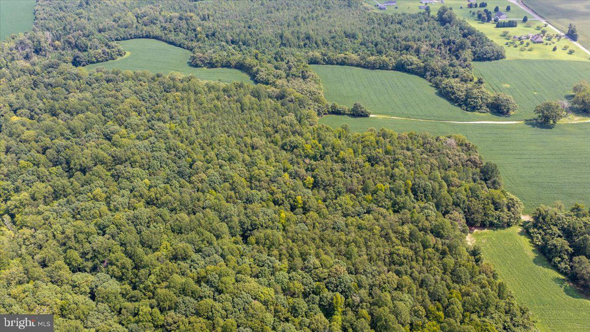 Lot 53-82 Jerusalem Church Rd Property Photo 23