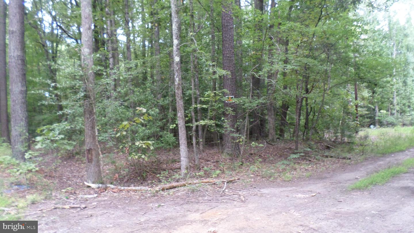 Lot 28 Lilly Way Property Photo 1