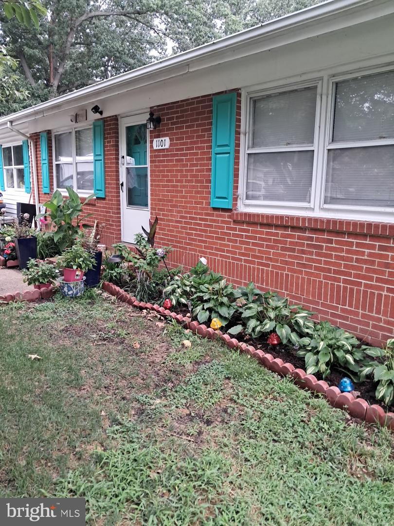 1101 Davis St Property Photo 15