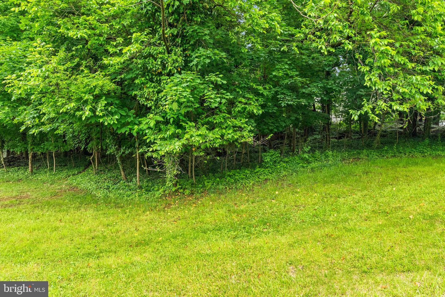 506 Fairmont Ave Property Photo 10