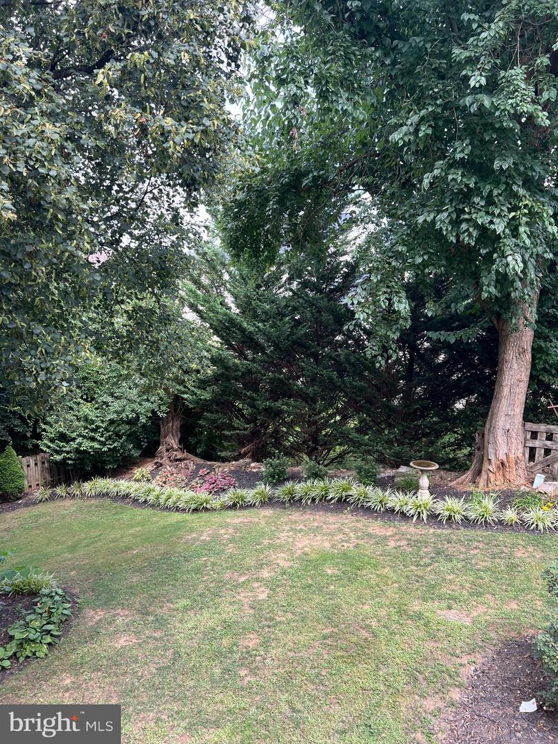 802 Appleseed Ct Property Photo 4