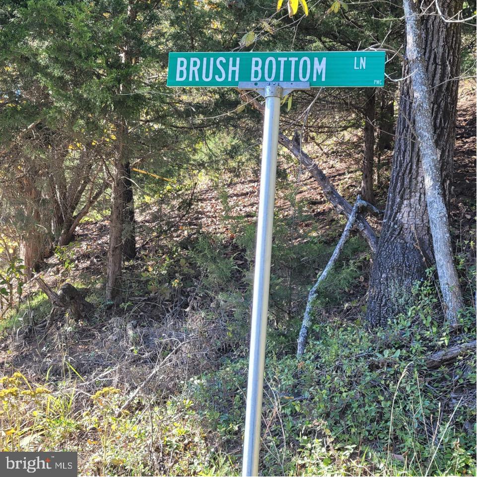 0 Brush Bottom Ln Property Photo 2
