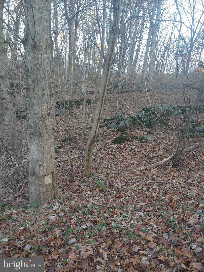 Pin Oak Rd Property Photo 1