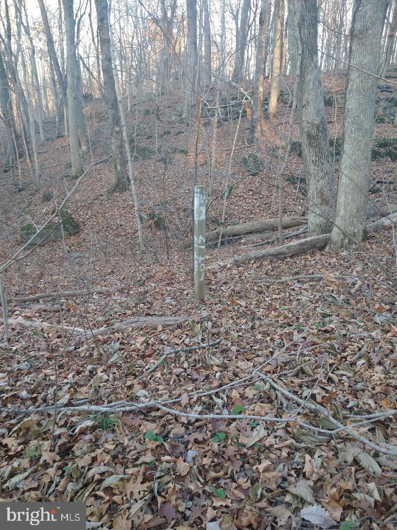 Pin Oak Rd Property Photo 6