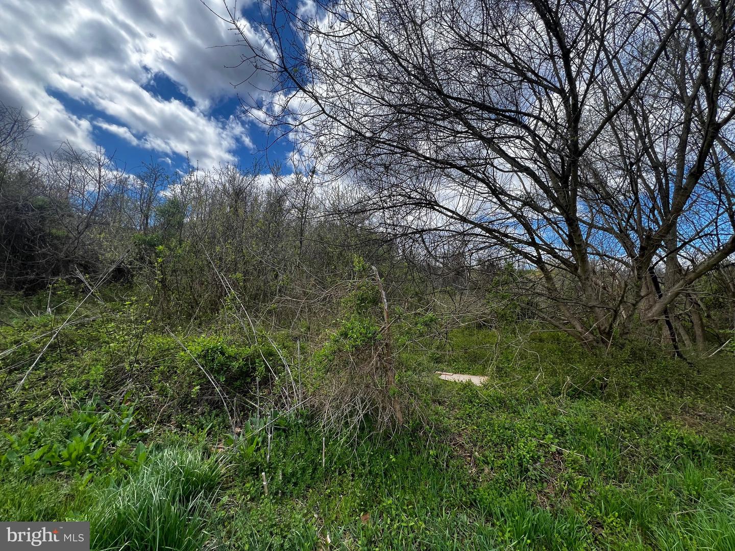 Applewood Estates Real Estate Listings Main Image
