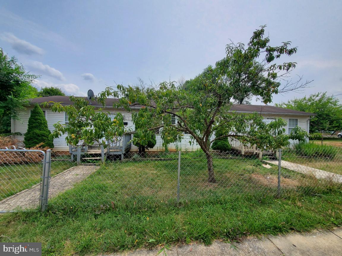 211 Laurel St Property Photo 3