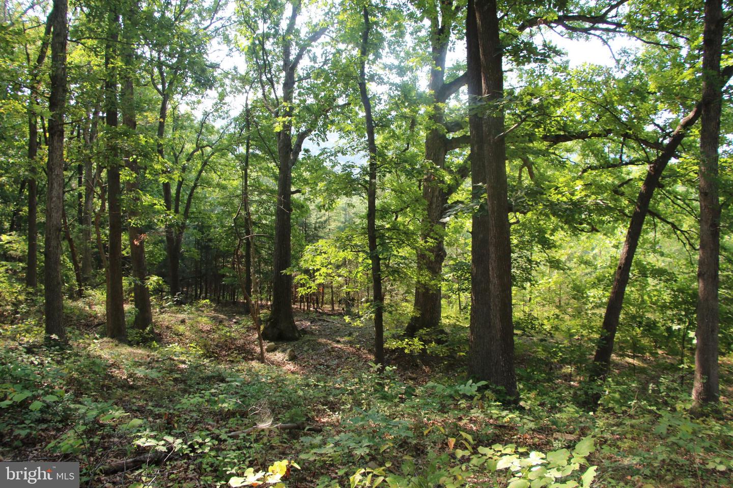 Noahs Rd Property Photo 10