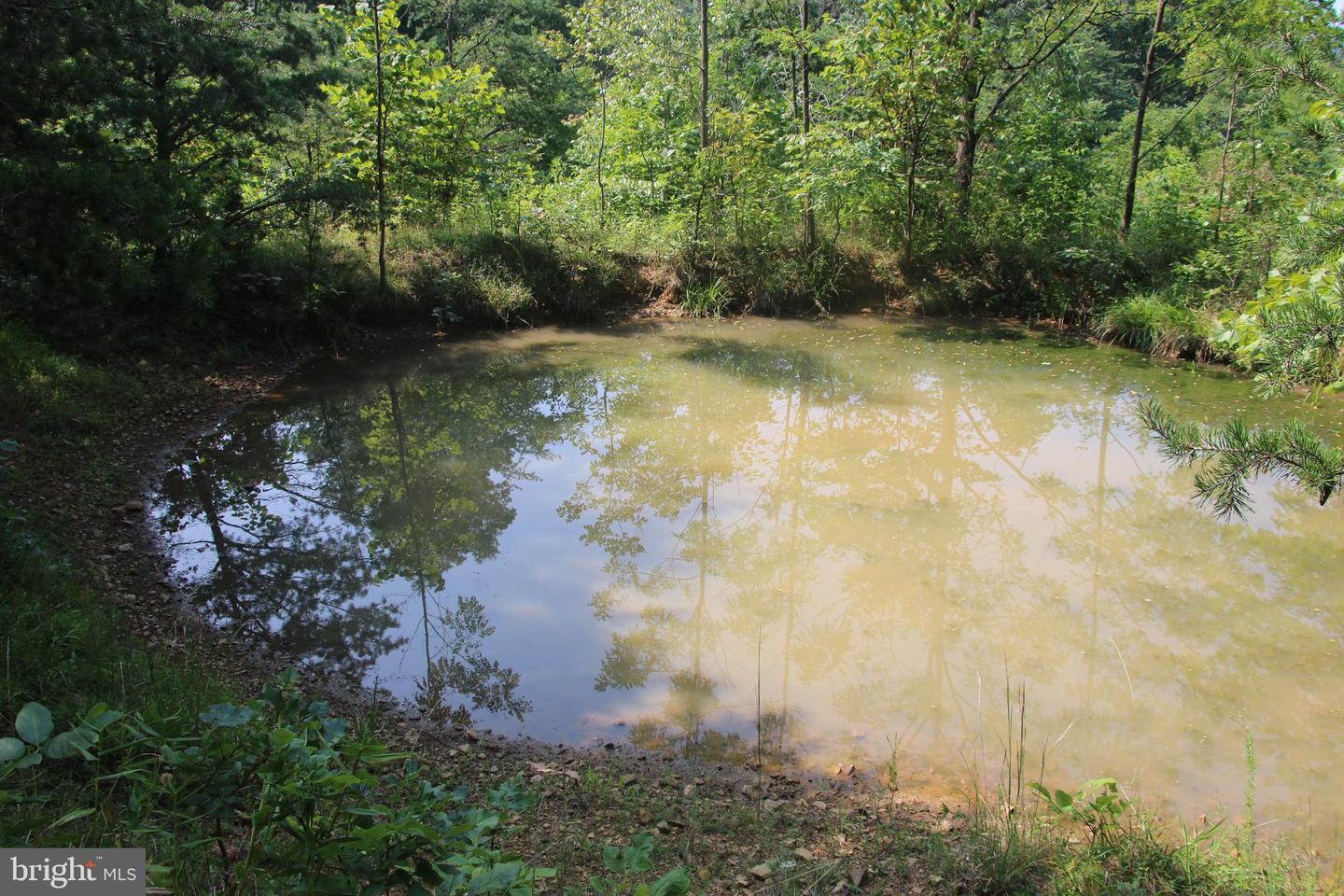 Noahs Rd Property Photo 13