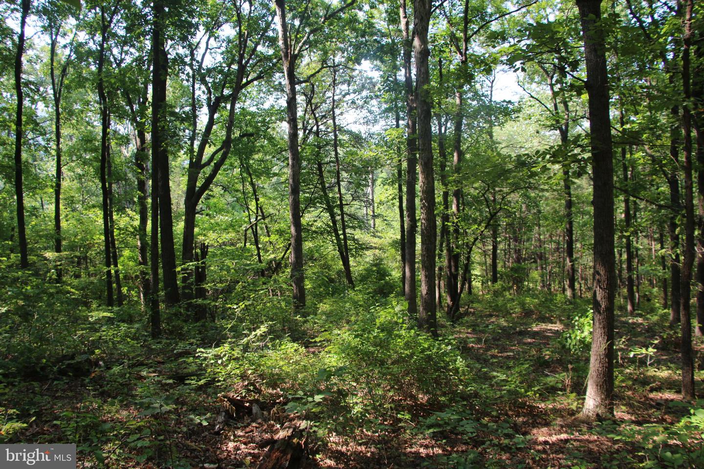 Noahs Rd Property Photo 15