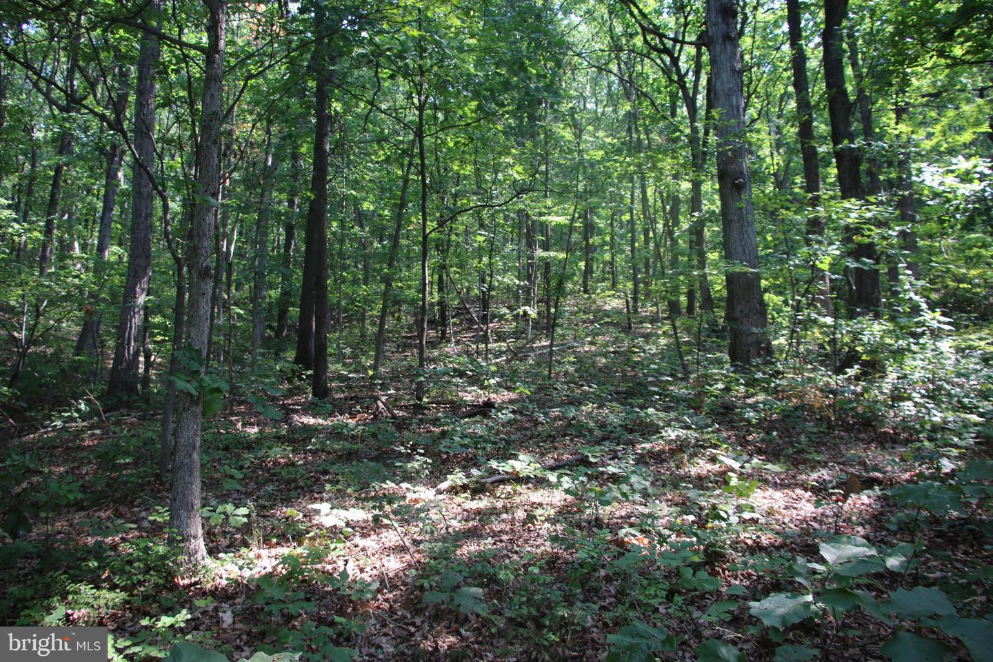 Noahs Rd Property Photo 16