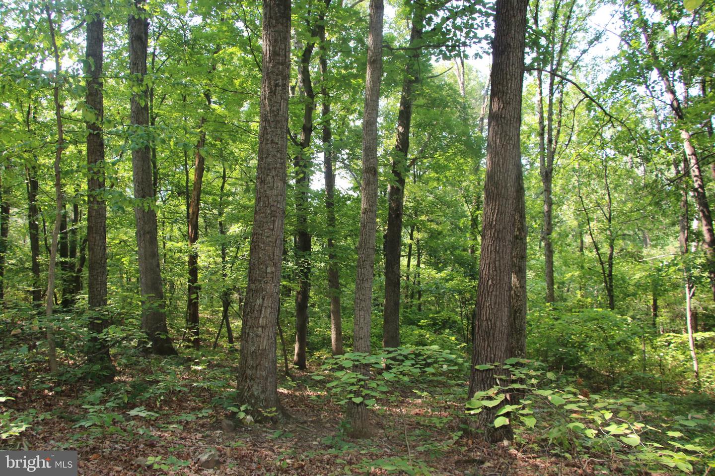 Noahs Rd Property Photo 17