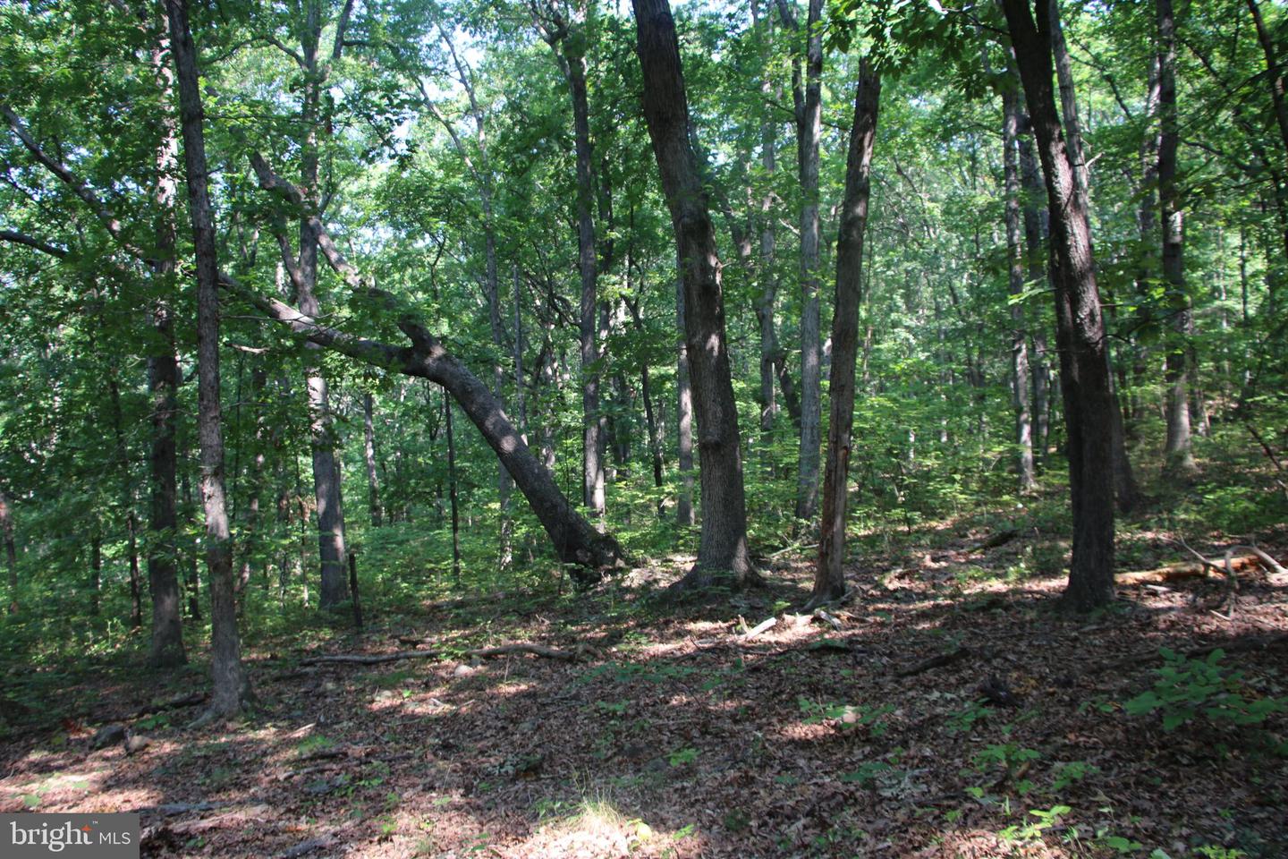 Noahs Rd Property Photo 18