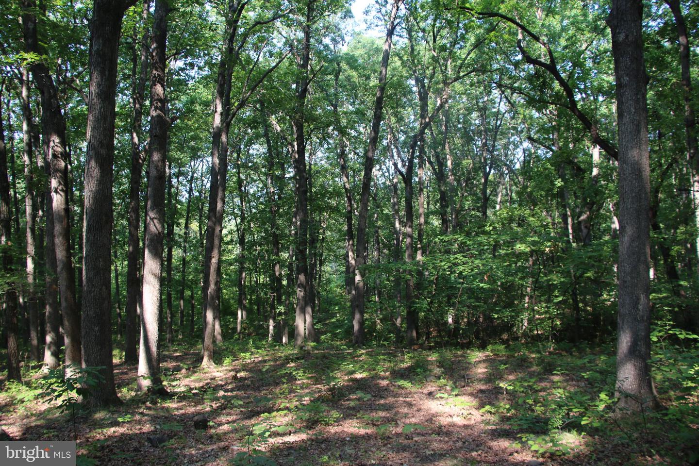 Noahs Rd Property Photo 19