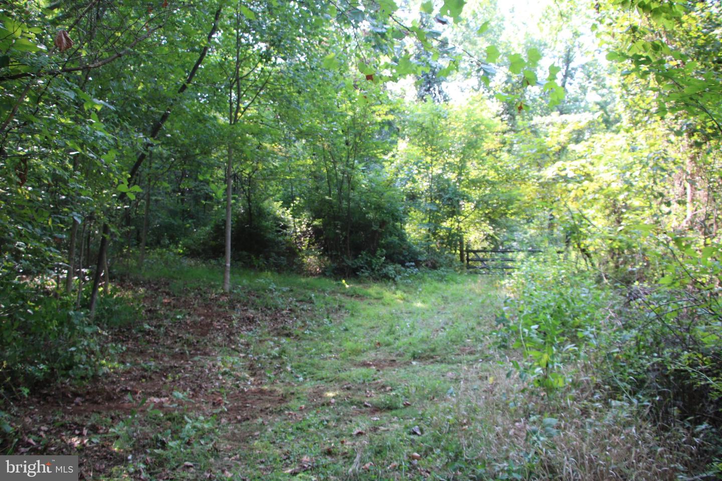 Noahs Rd Property Photo 22