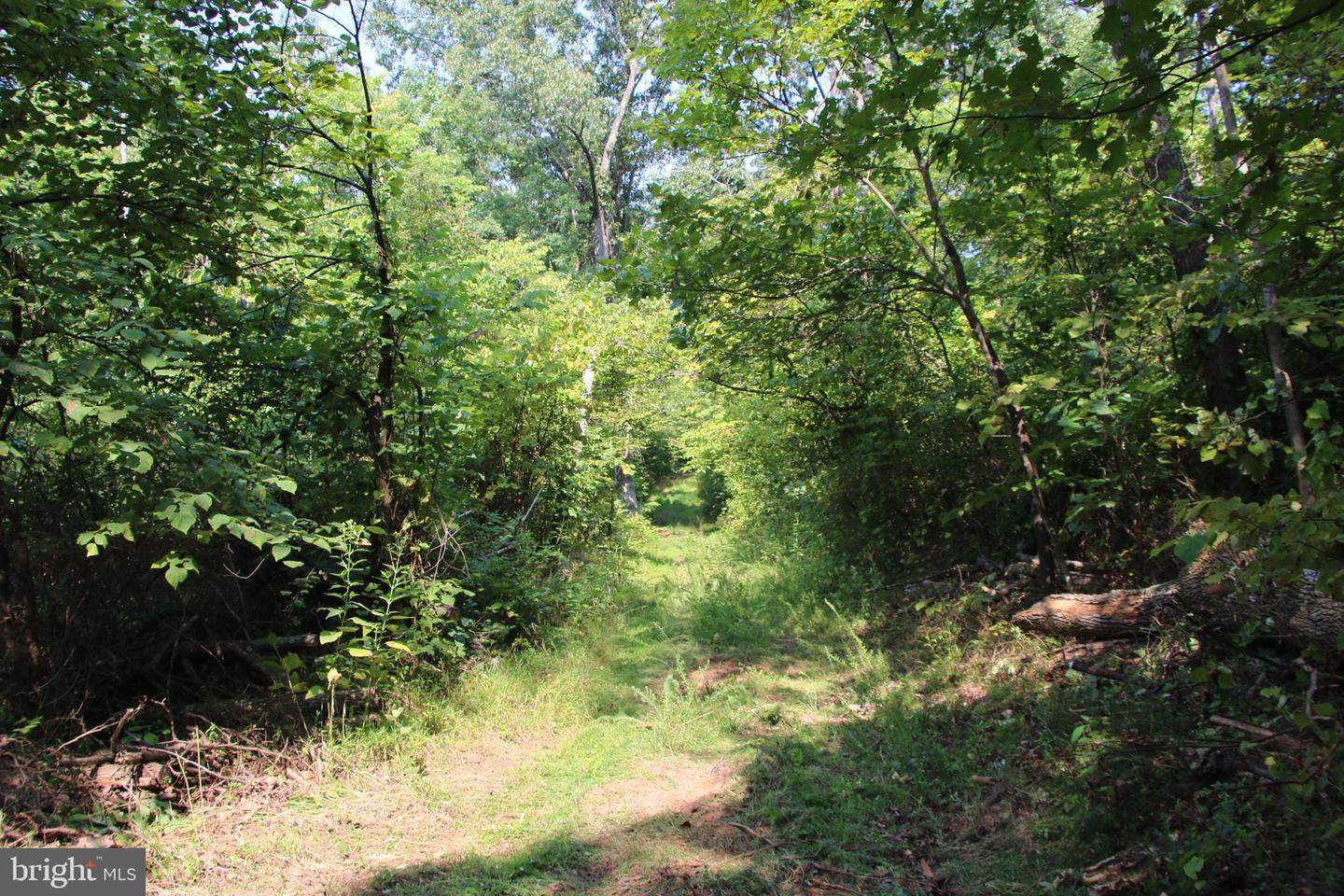 Noahs Rd Property Photo 24