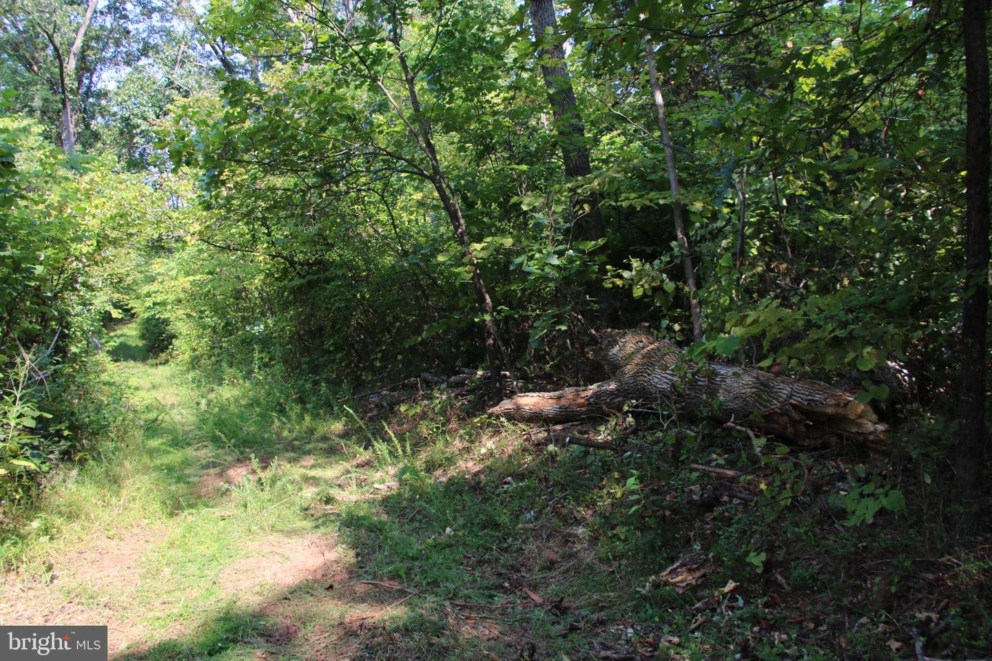 Noahs Rd Property Photo 25