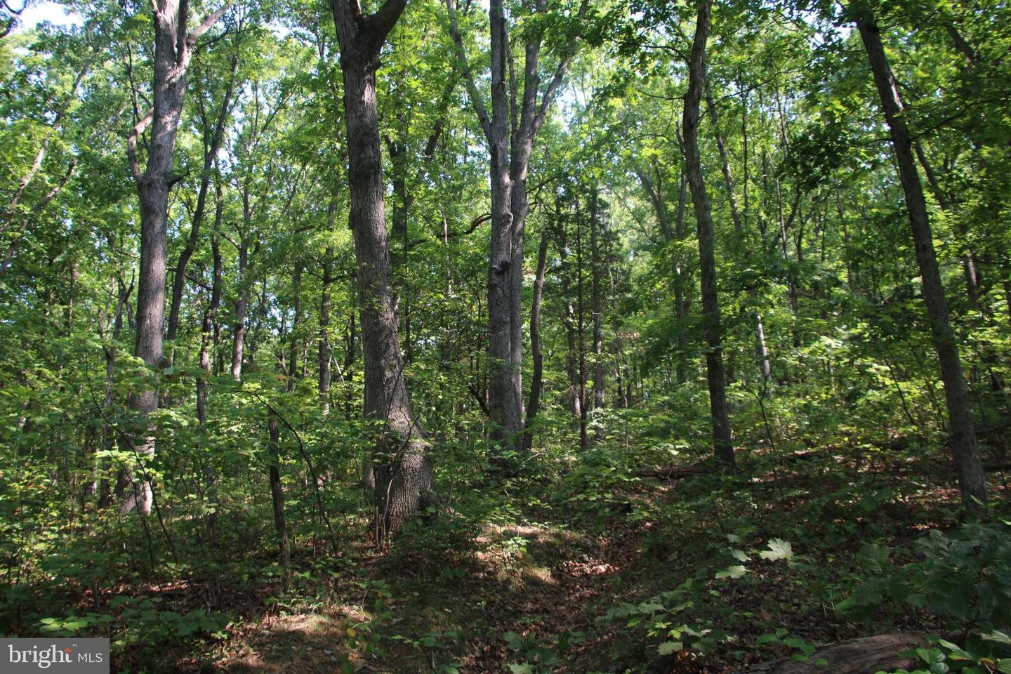 Noahs Rd Property Photo 26
