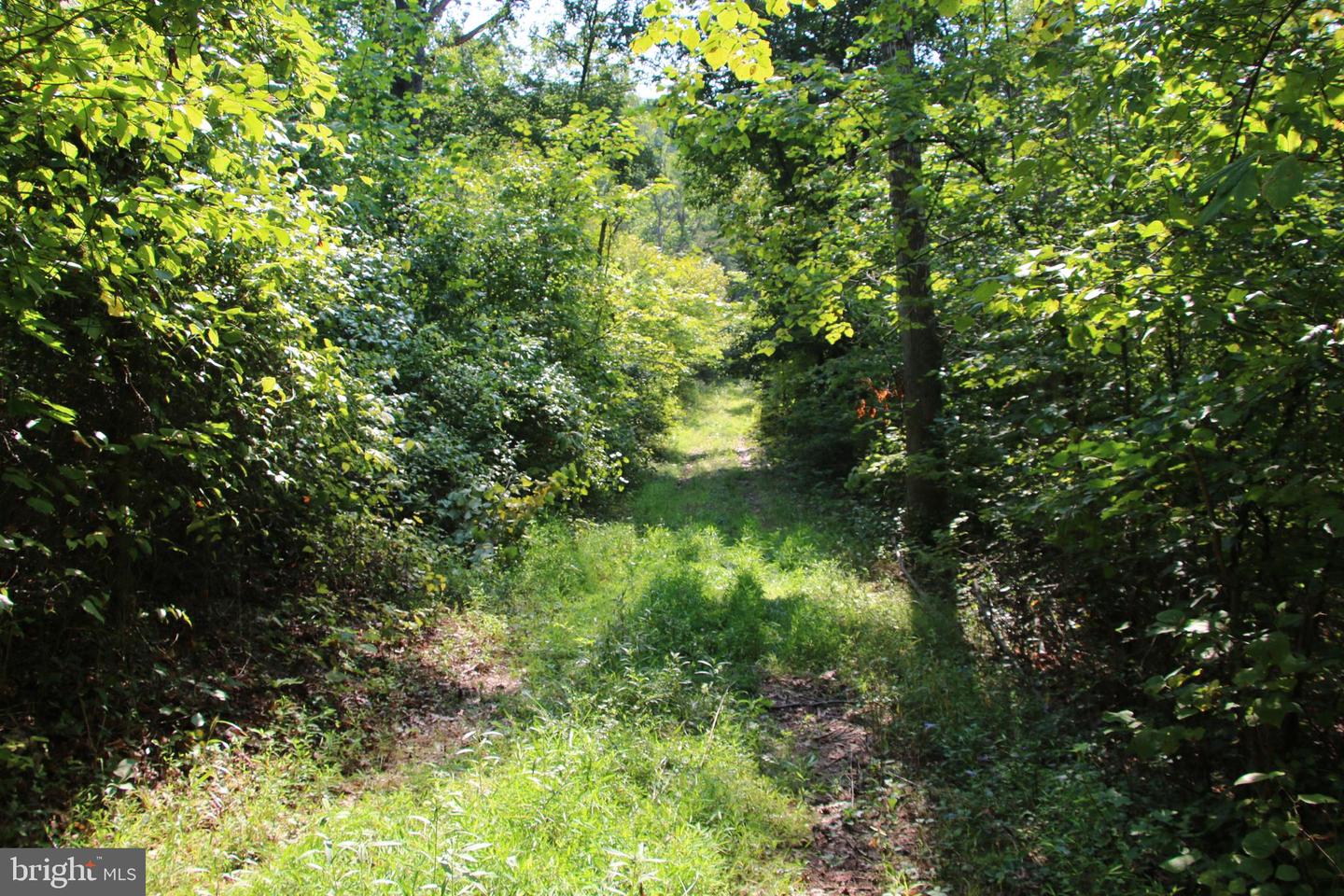 Noahs Rd Property Photo 28