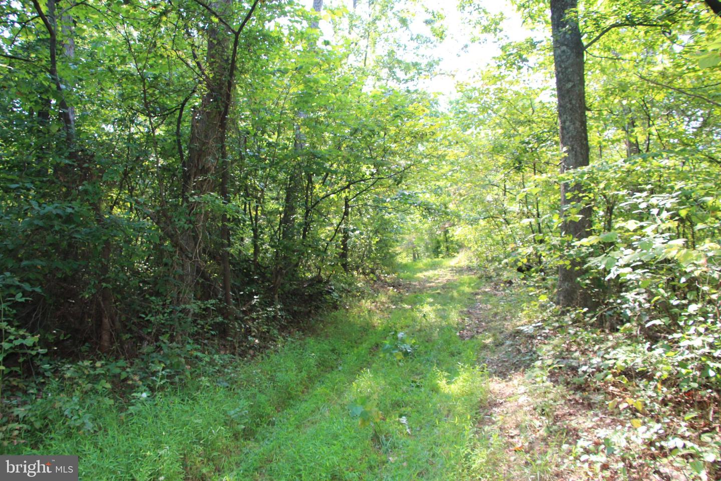 Noahs Rd Property Photo 29