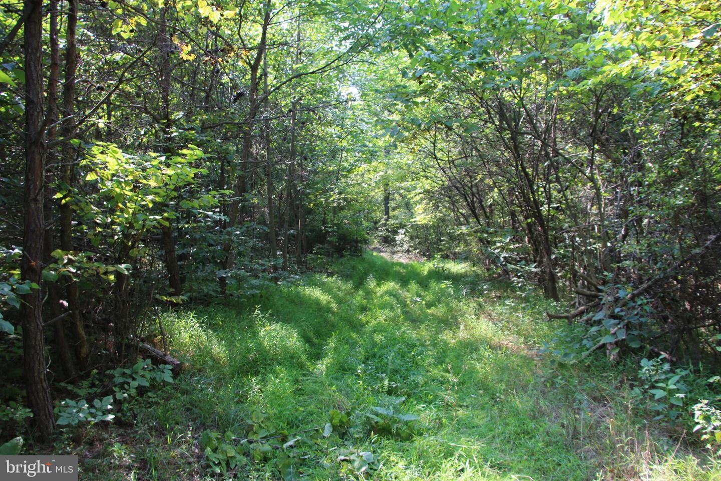 Noahs Rd Property Photo 30