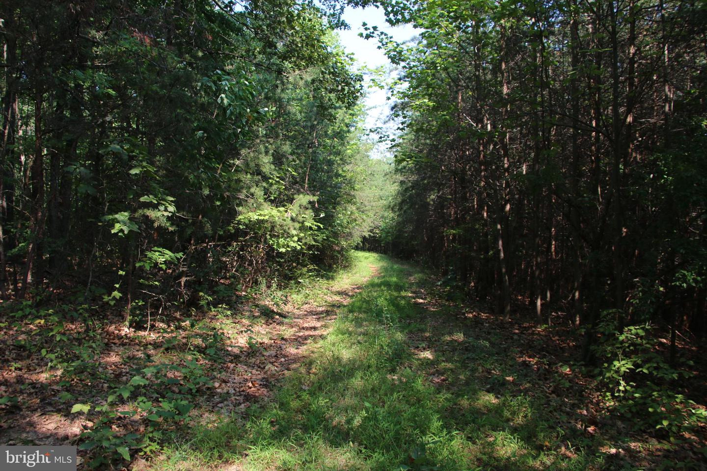 Noahs Rd Property Photo 31