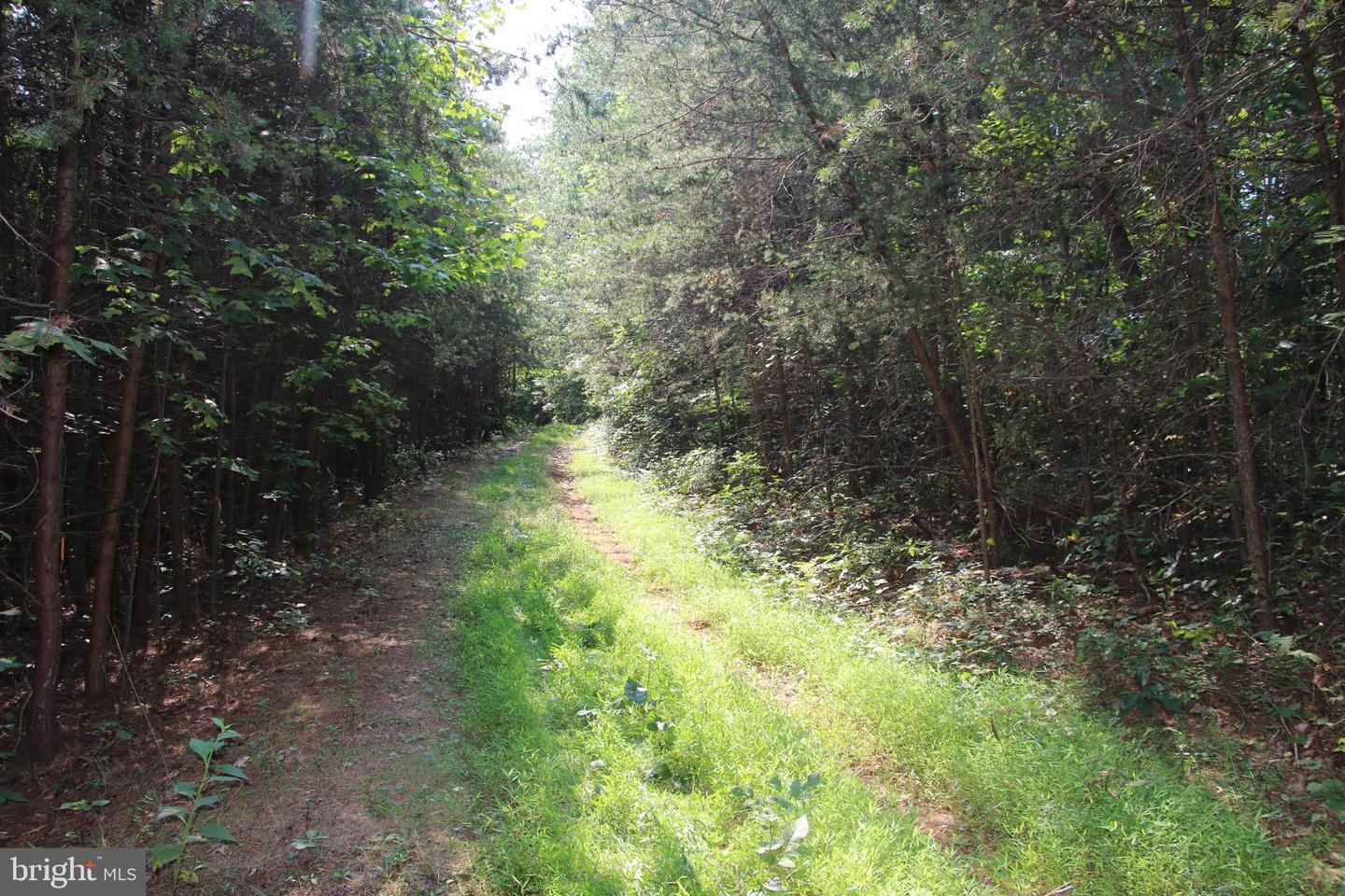 Noahs Rd Property Photo 32