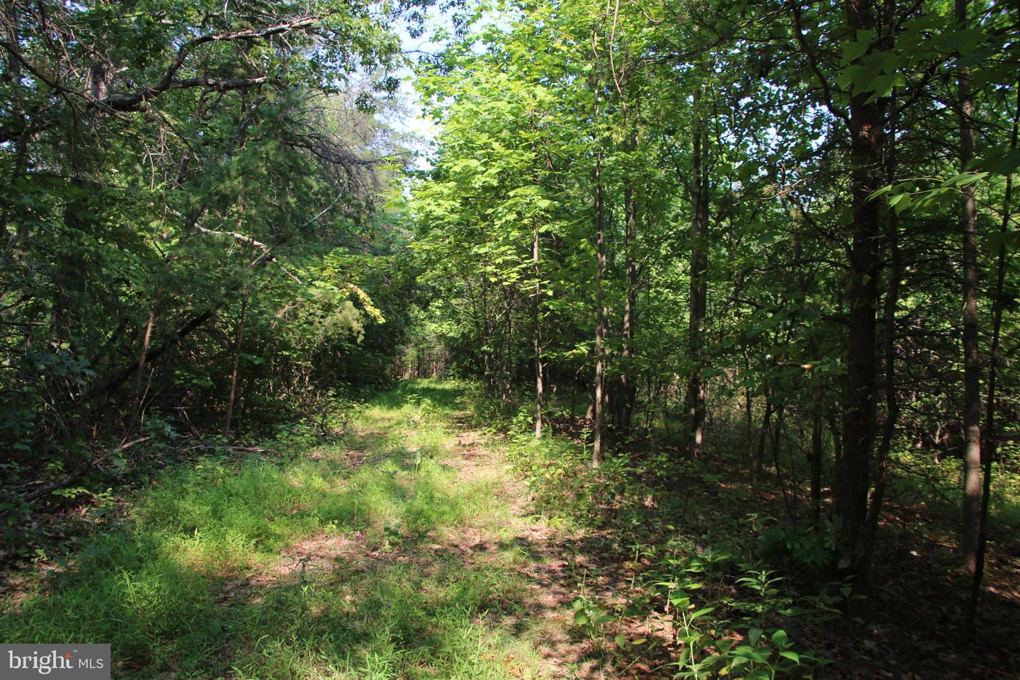 Noahs Rd Property Photo 33