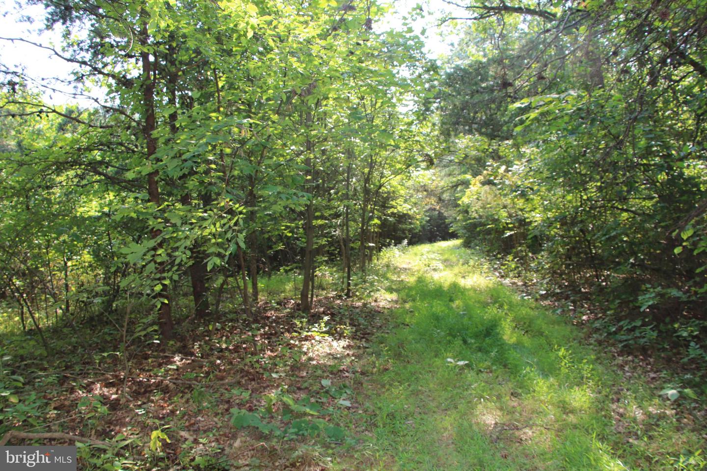 Noahs Rd Property Photo 34