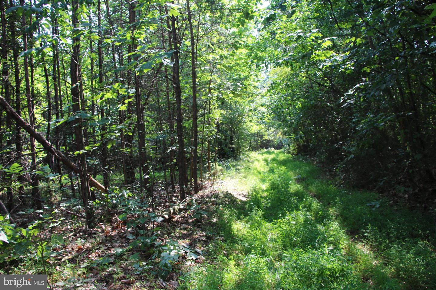 Noahs Rd Property Photo 35