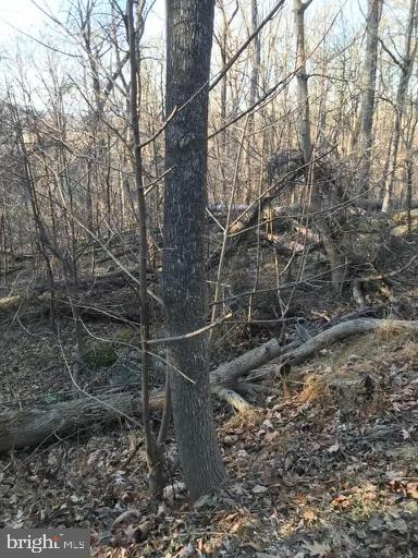 Northern Spy Dr Property Photo 3