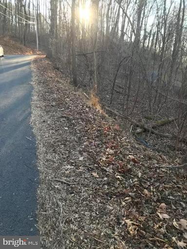 Northern Spy Dr Property Photo 4