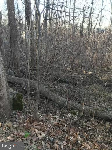 Northern Spy Dr Property Photo 5