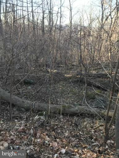 Northern Spy Dr Property Photo 8