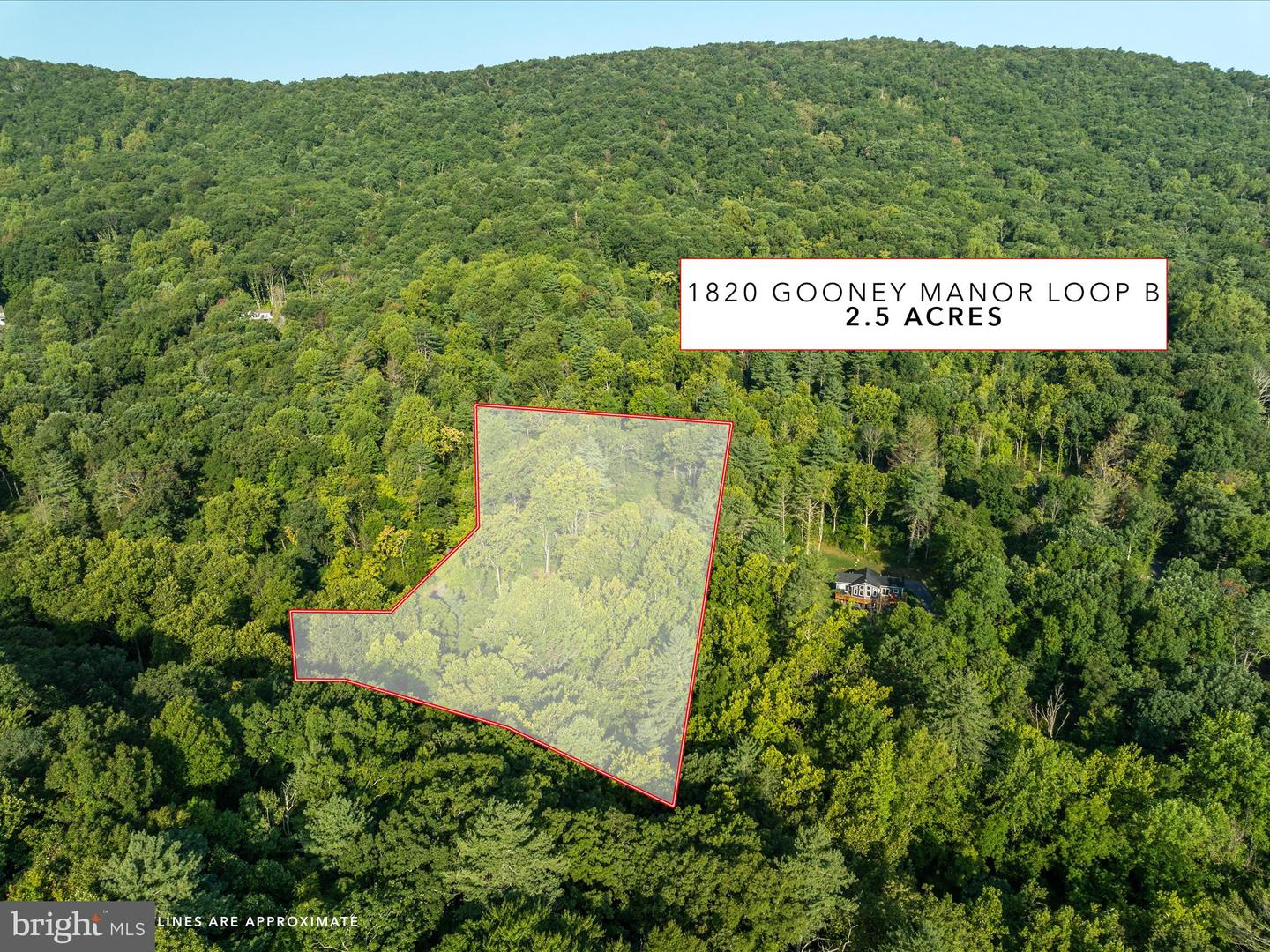 0 Gooney Manor Loop Property Photo
