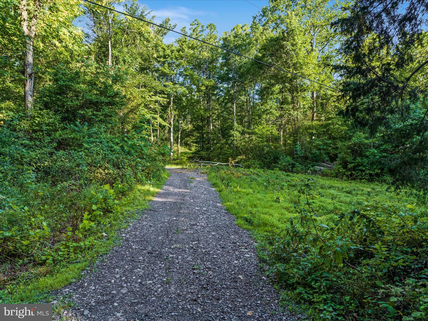 0 Gooney Manor Loop Property Photo 2