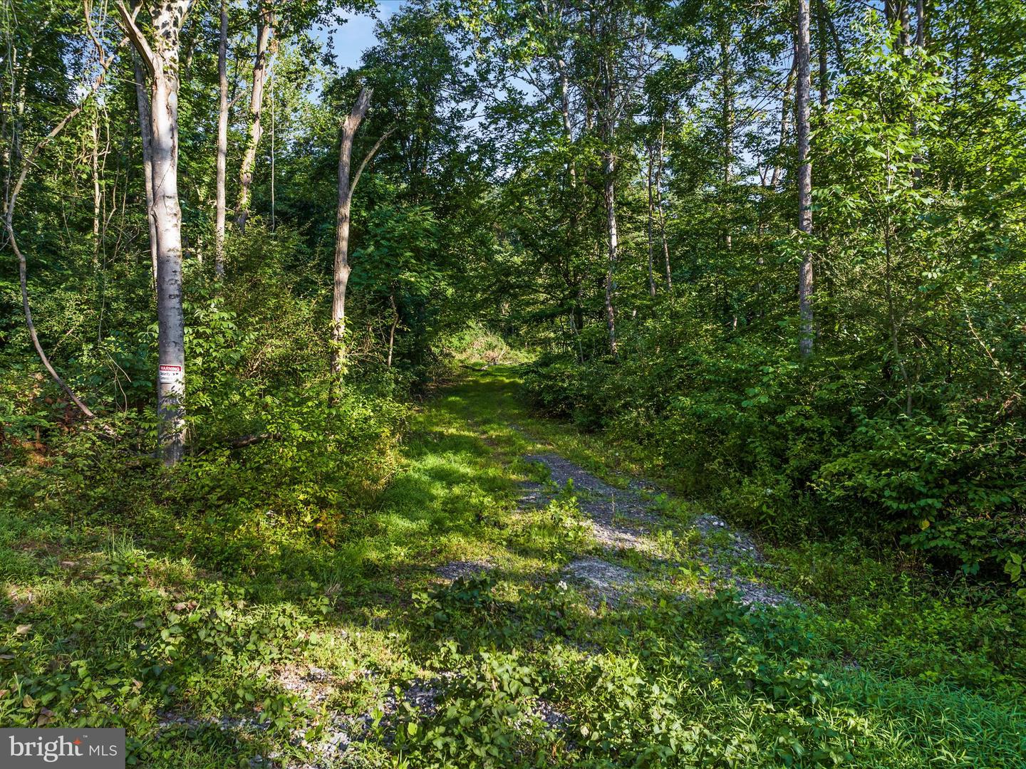 0 Gooney Manor Loop Property Photo 4