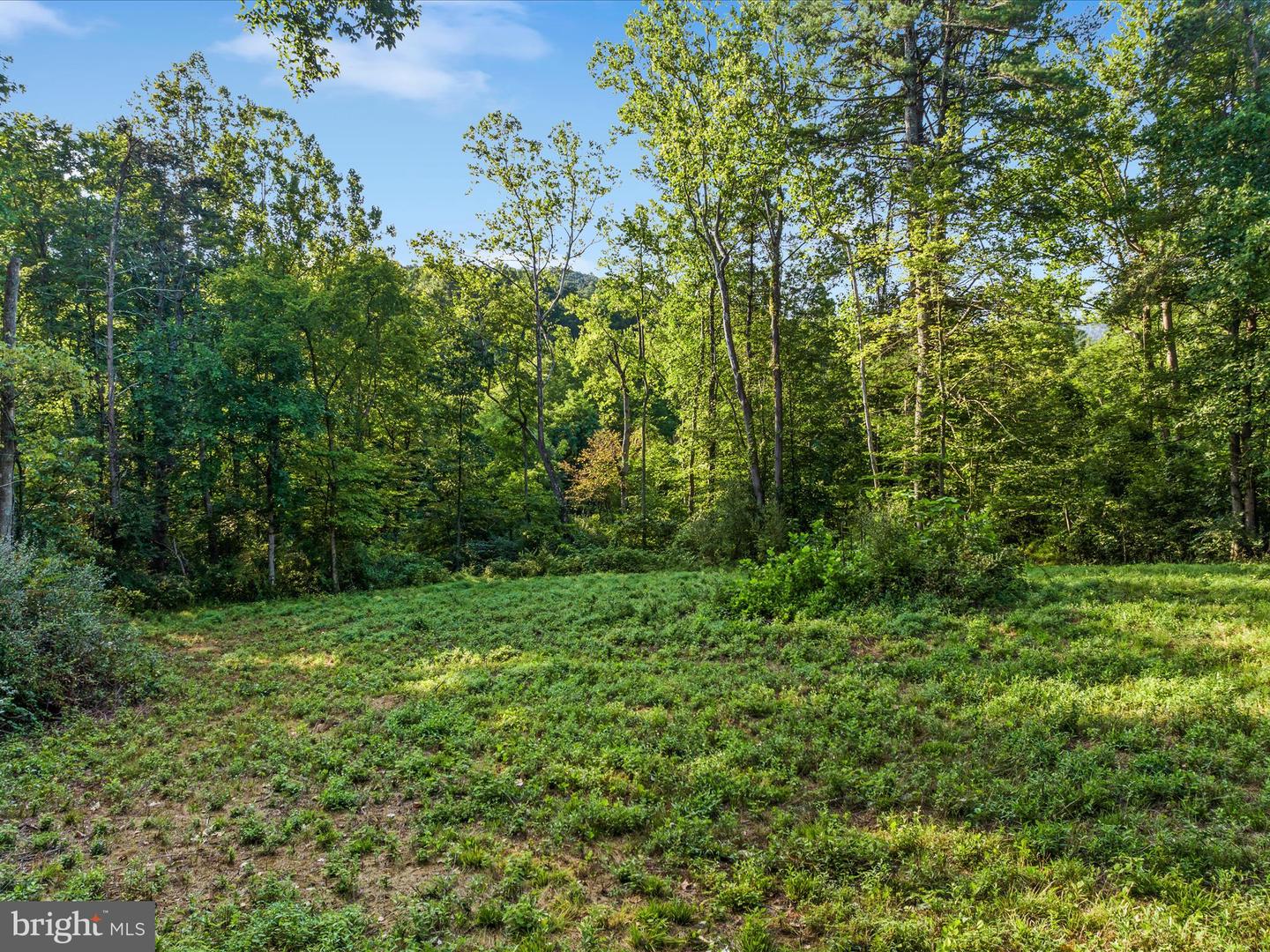 0 Gooney Manor Loop Property Photo 5