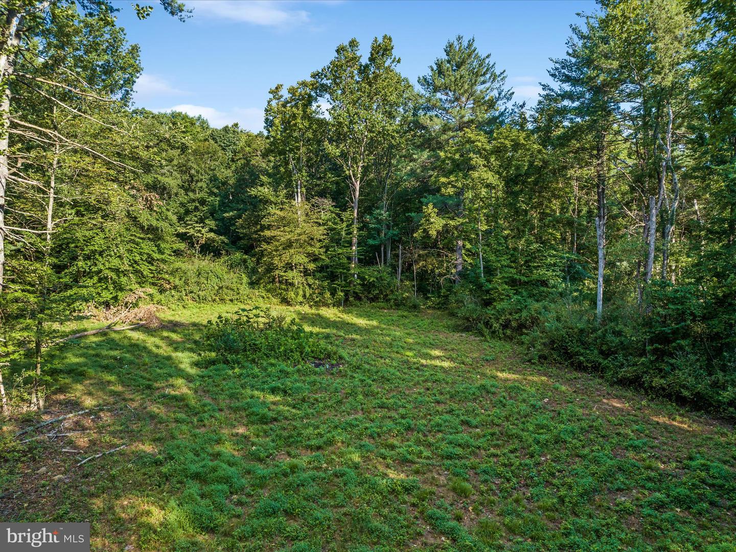 0 Gooney Manor Loop Property Photo 6