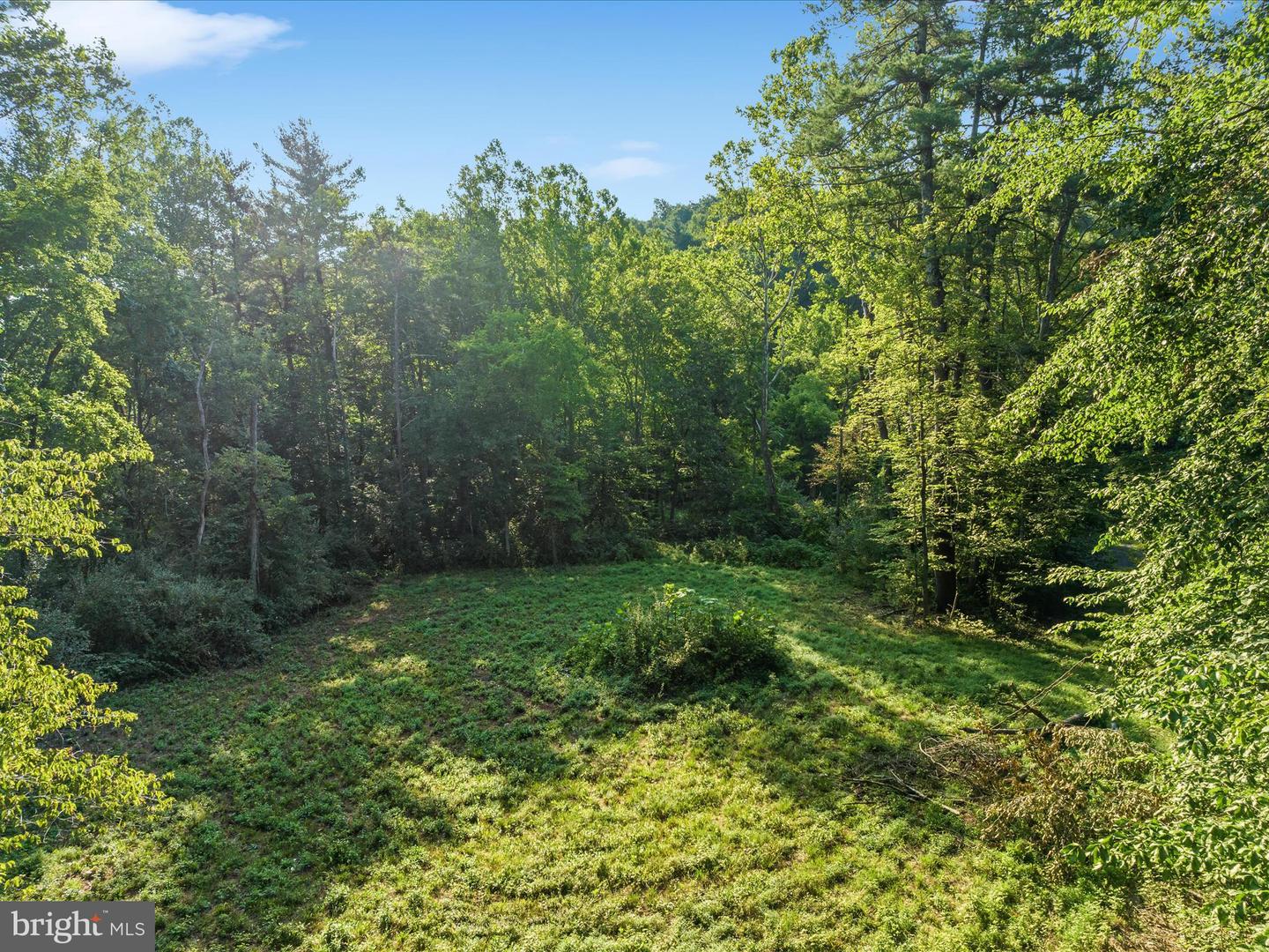 0 Gooney Manor Loop Property Photo 7