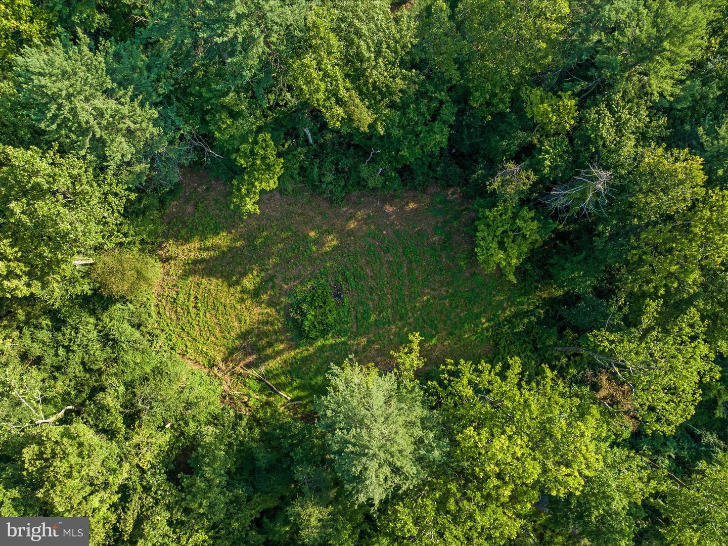 0 Gooney Manor Loop Property Photo 8
