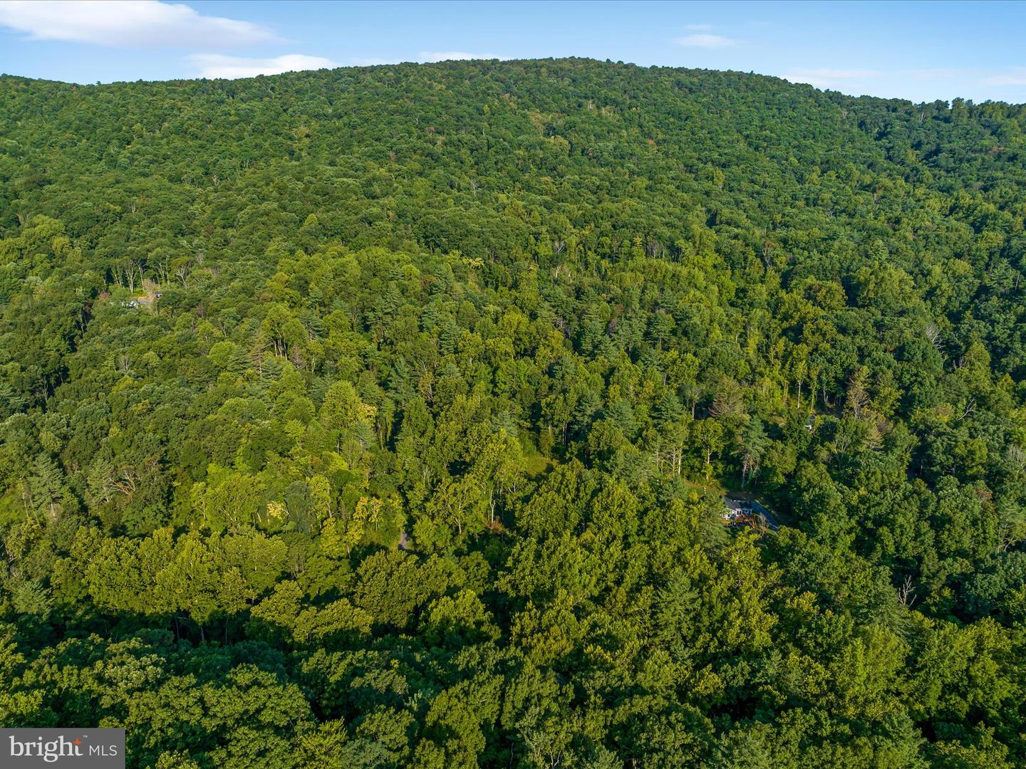 0 Gooney Manor Loop Property Photo 12