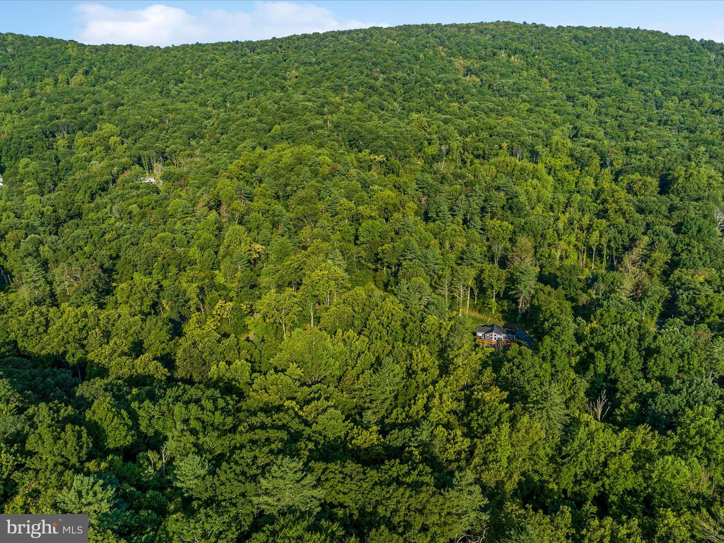 0 Gooney Manor Loop Property Photo 13