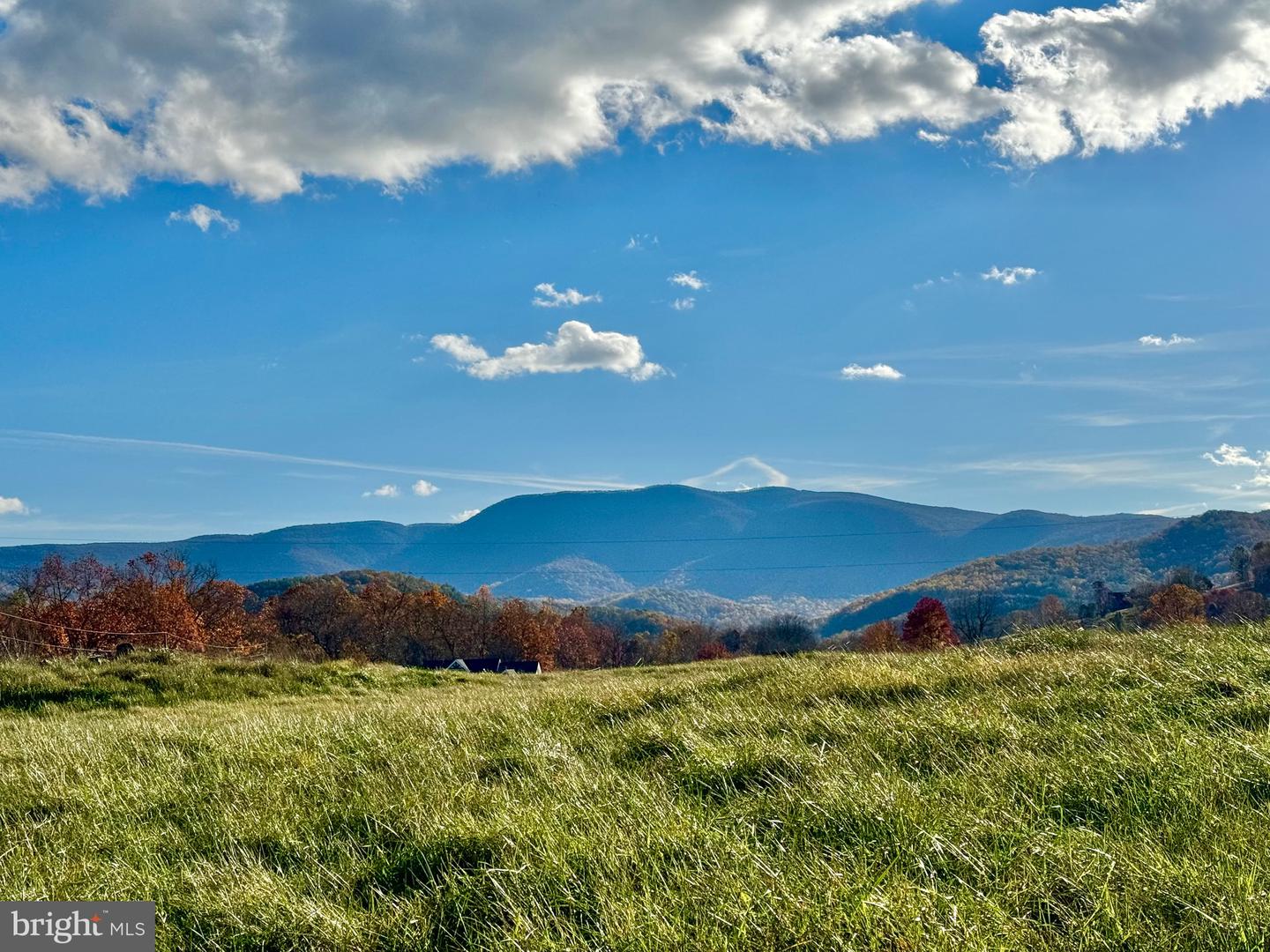3.7 Ac Buck Mountain Rd Property Photo