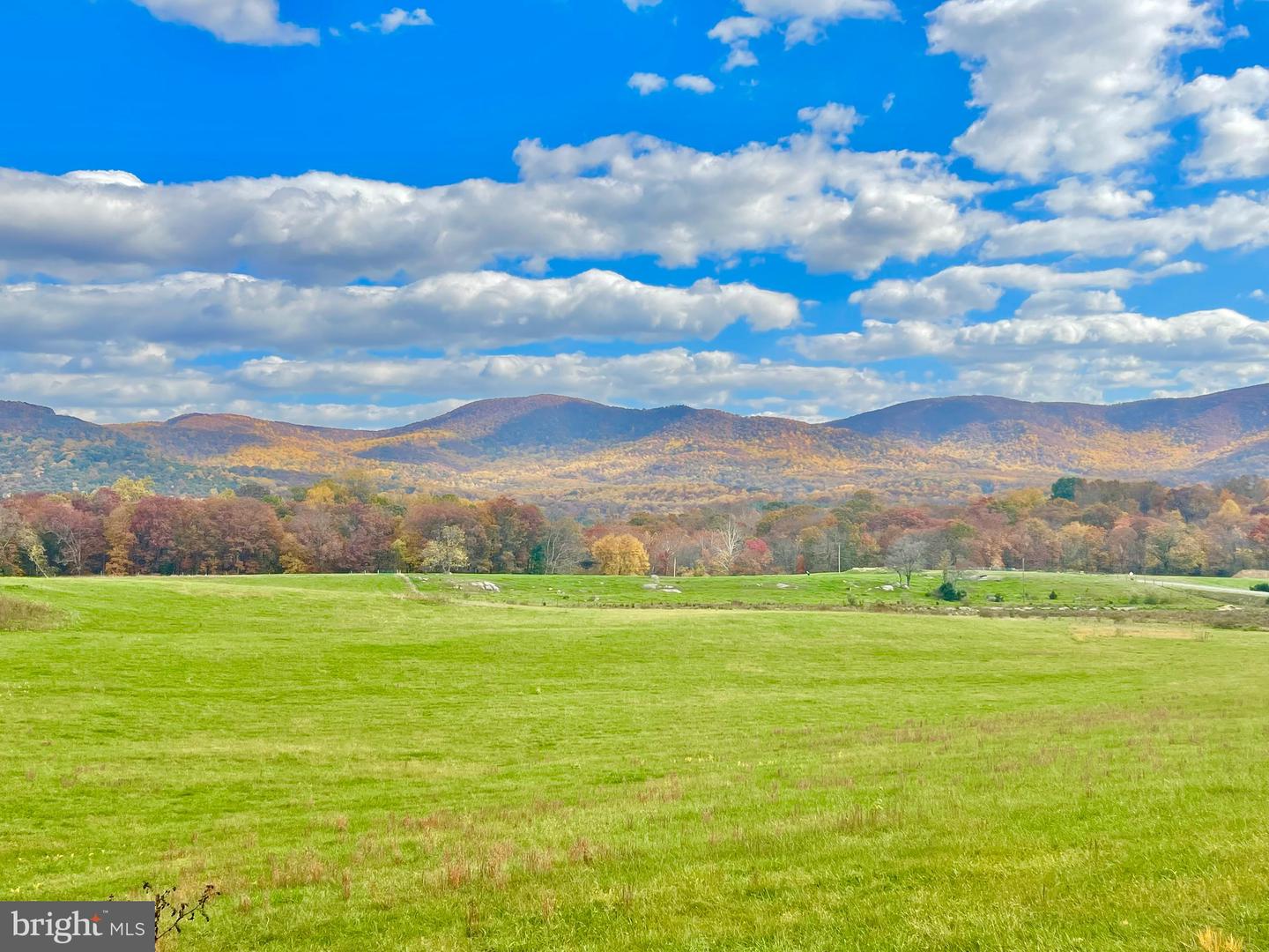 10 Ac Buck Mountain Rd Property Photo