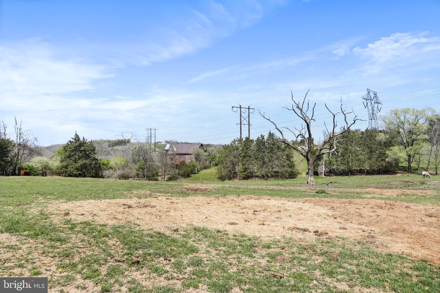 Winchester Rd Property Photo 36